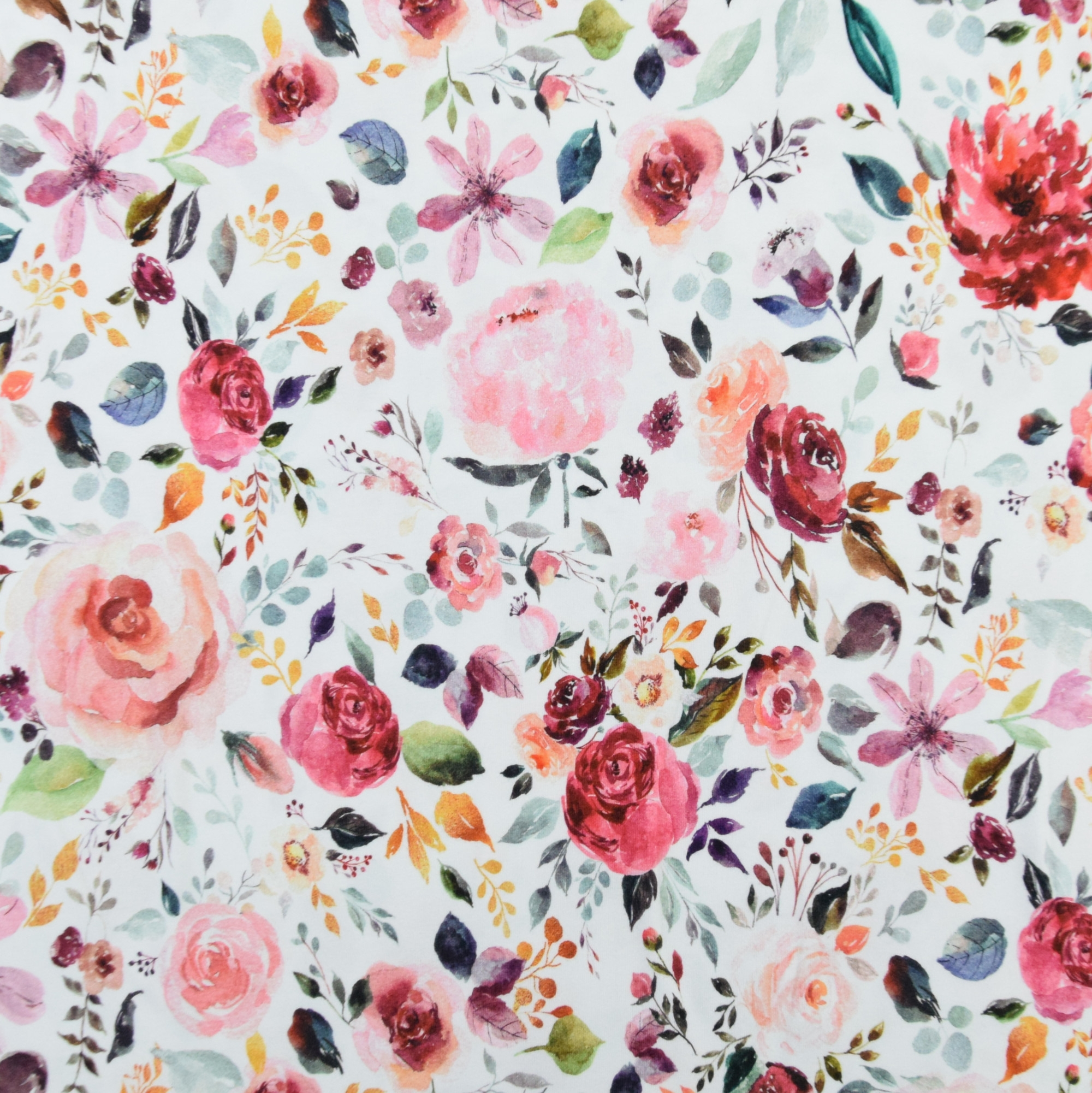 Cotton-Jersey app 6 colours flowers 142cm wide 
