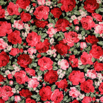 rouge | Tissu coton popeline Lovely Dream, noir - rouge