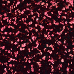 rood | Pailletten velours stof, rood