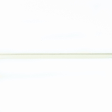 weiss | Paspelband Popeline, weiss