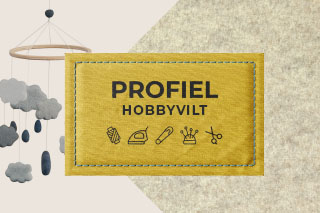 Hobbyvilt
