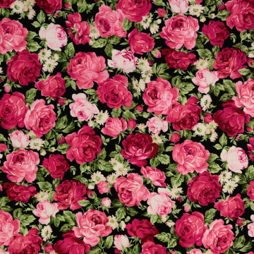 Baumwoll Popeline Rose Dream, schwarz - pink