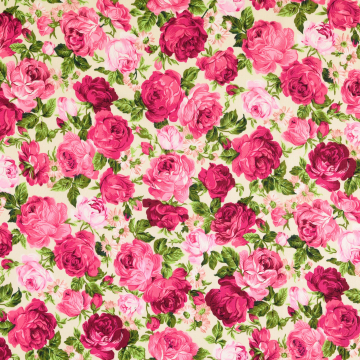 Baumwoll Popeline Rose Dream, wollweiß - pink