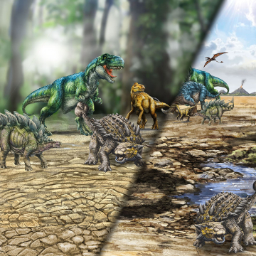 Baumwolljersey T-Rex World Panel Dinos on Tour 150 x 65 cm