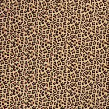 Bengaline Little Leo, dark beige