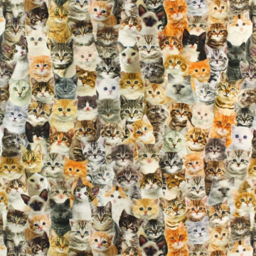 Dekostoff Halbpanama Cute Cats, Digitaldruck
