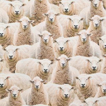 Dekostoff Halbpanama Little Sheep, beige
