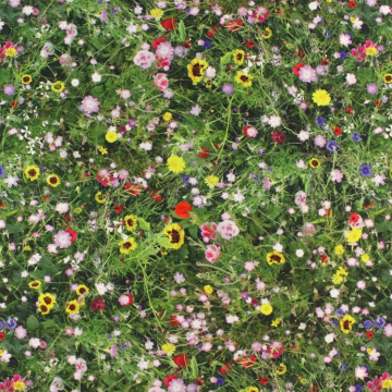 Tissu déco semi panama fleurs des champs Spring Wildflowers, impression numérique