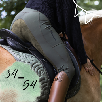 E-book AnniNanni Dames paardrij leggings, Duits