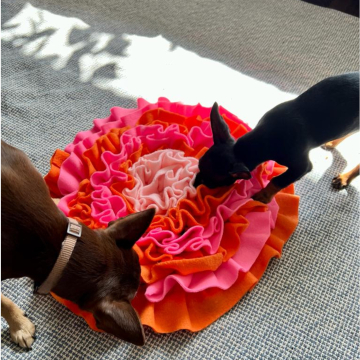 Patron tapis à renifler pour chien pdf Carlo Erbsünde, en allemand