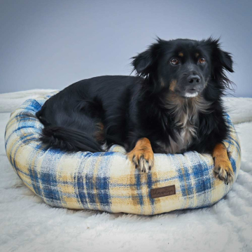 E-book Maker Mauz Katzenbett / Hundebett, Duits