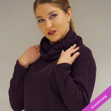 Aanvullend E-Book: Unendlich Schön - Raglanshirt Dahlia, duits