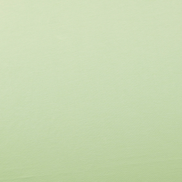 Soft Stretch Punta di Roma jersey, mintgroen