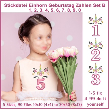 Stickdatei Rock Queen Einhorn Geburtstagsset B