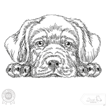Borduurbestand Stickzebra hond labrador, Duits
