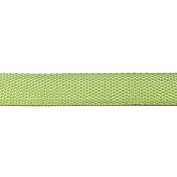Taschengurtband apfelgrün 25 mm