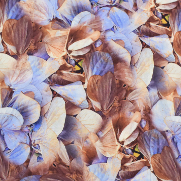 Viscose Fabric Beautiful Leaves, brown