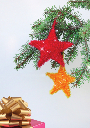 Funny Scrub Weihnachtsstern groß