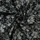 schwarz | Baumwoll Popeline Cottage Elder, schwarz weiß