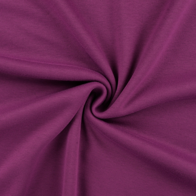 Tissu sweat polaire alpine, baie