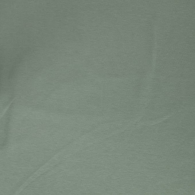 Alpenfleece sweatshirtstof, vaalgroen