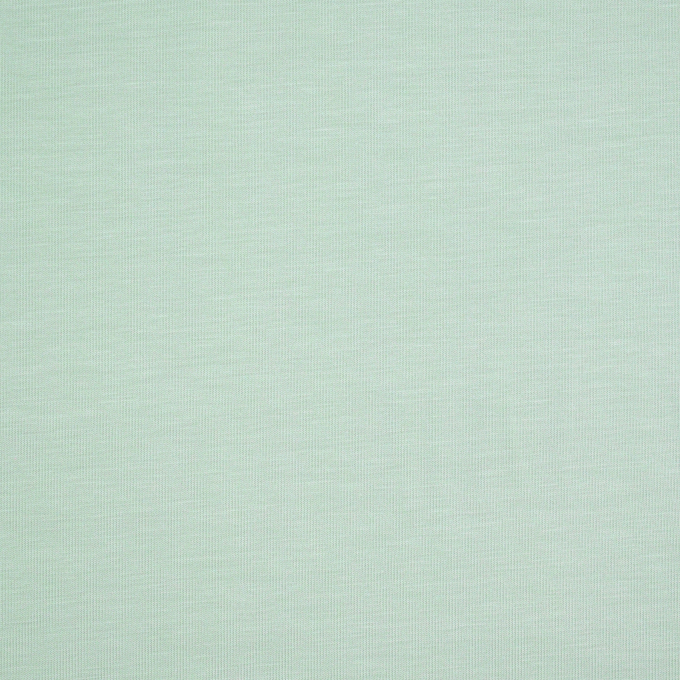 Tissu jersey de bambou, menthe pâle