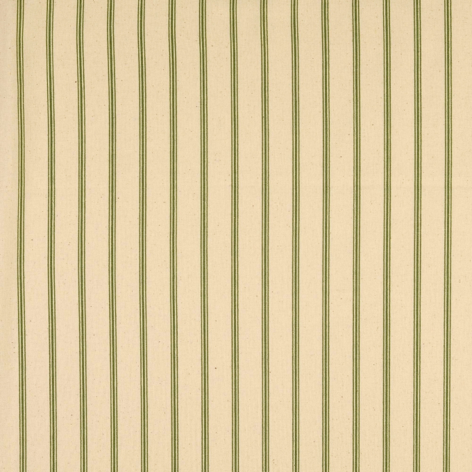 Baumwoll Cretonne Vintage Stripes, grün