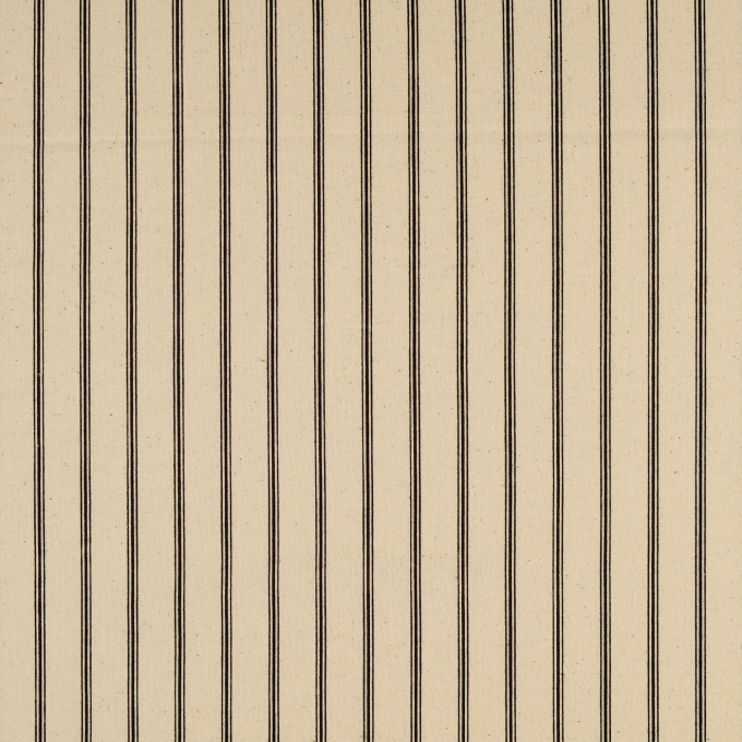 Baumwoll Cretonne Vintage Stripes, schwarz