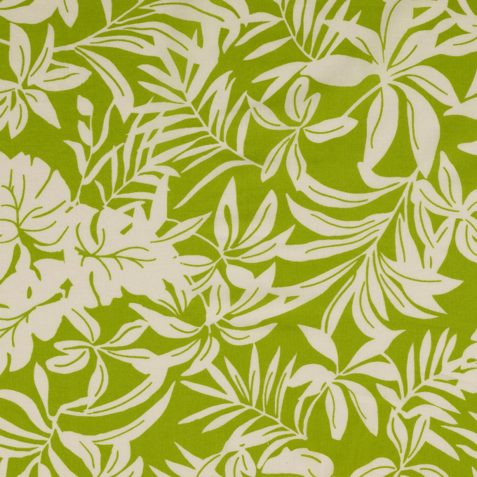 Cotton voile Tropical, green