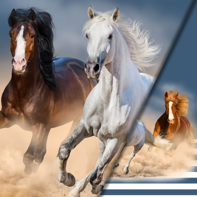 Katoenjersey Malomi paneel paarden 150 x 65 cm