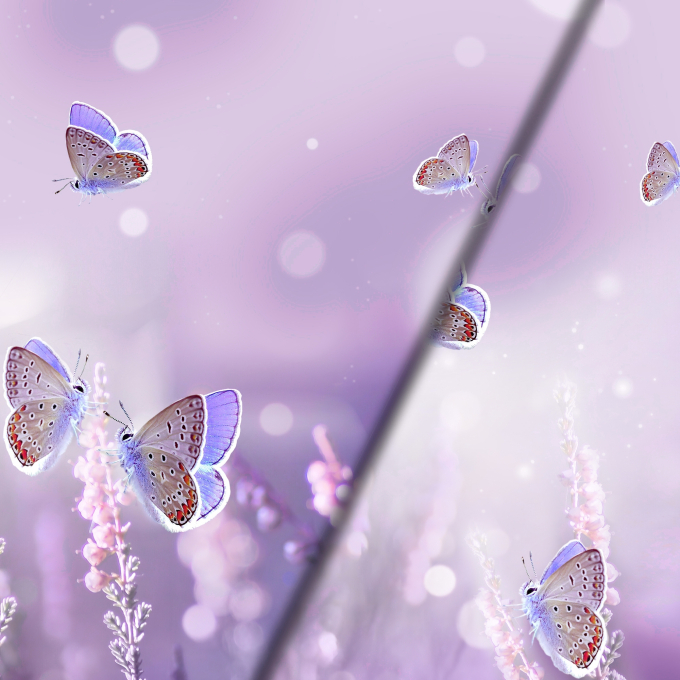 Katoenjersey Malomi paneel Purple Butterfly, blauwpaars 150 x 65 cm