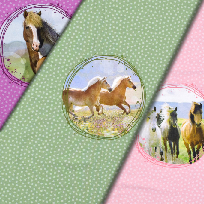 Baumwolljersey Pferdefreunde Panel Horse Life 150 x 75 cm