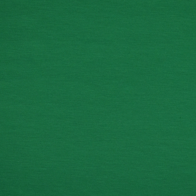 Baumwolljersey uni, laubgrün