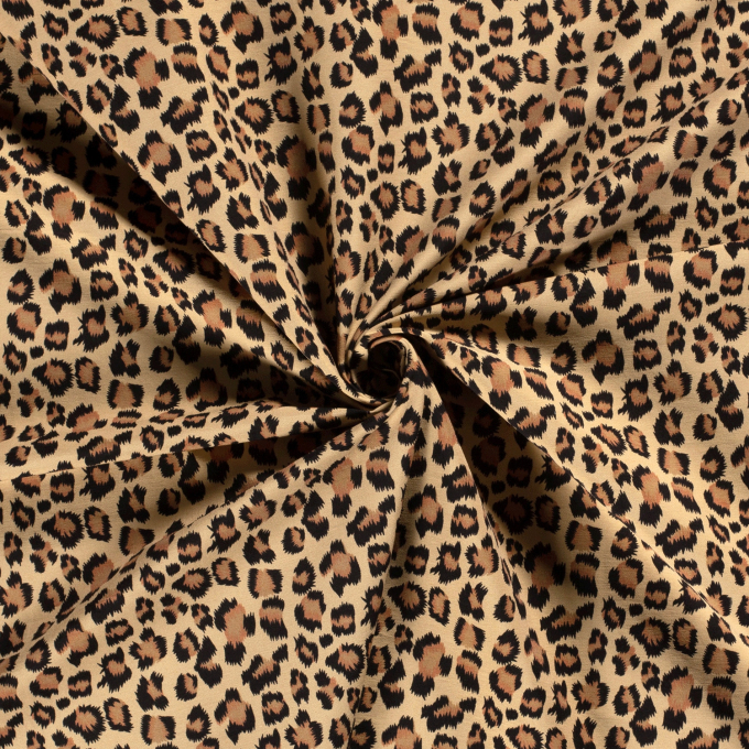Bengaline Little Leo, donkerbeige
