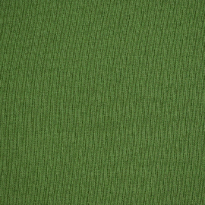 Bio- Wintersweat Fibre Mood, grün