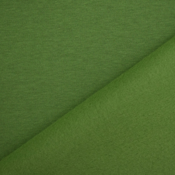 Bio- Wintersweat Fibre Mood, grün