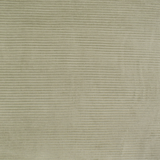 Tissu jersey côtelé Maxi, vieux vert