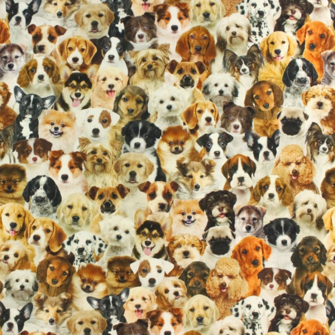 Dekostoff Halbpanama Cute Dogs, Digitaldruck