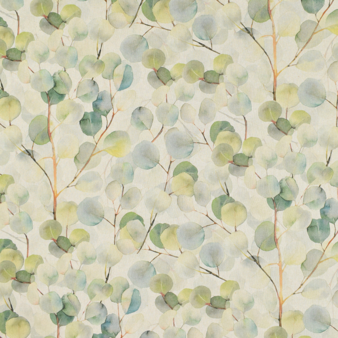 Tissu déco semi panama Feuilles Eucalyptus Leaves