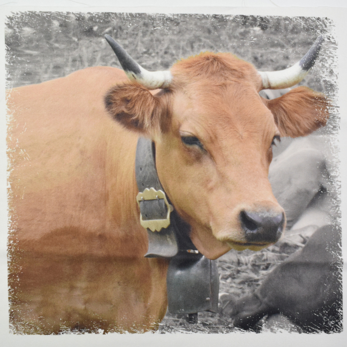 Deco fabric Serge Panel cow, 50 x 50 cm