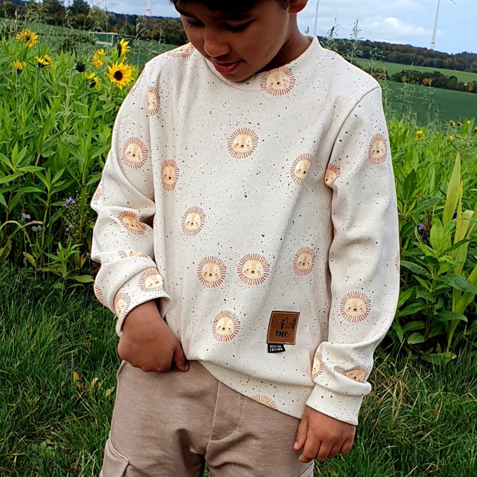 E-Book Der Smaragd Sweater Miles Babys