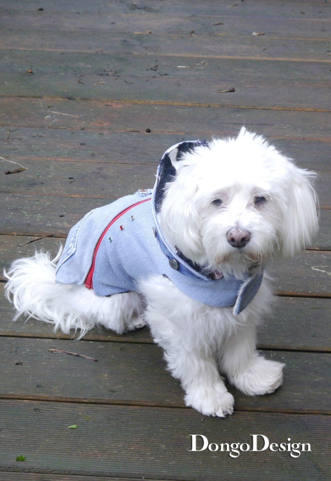 E-Book DongoDesign Hundemantel Jack the Zipper, duits