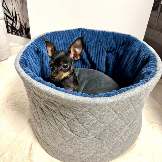 Patron panier ou corbeille pour chiens et chats pdf Sissi Erbsünde, en allemand