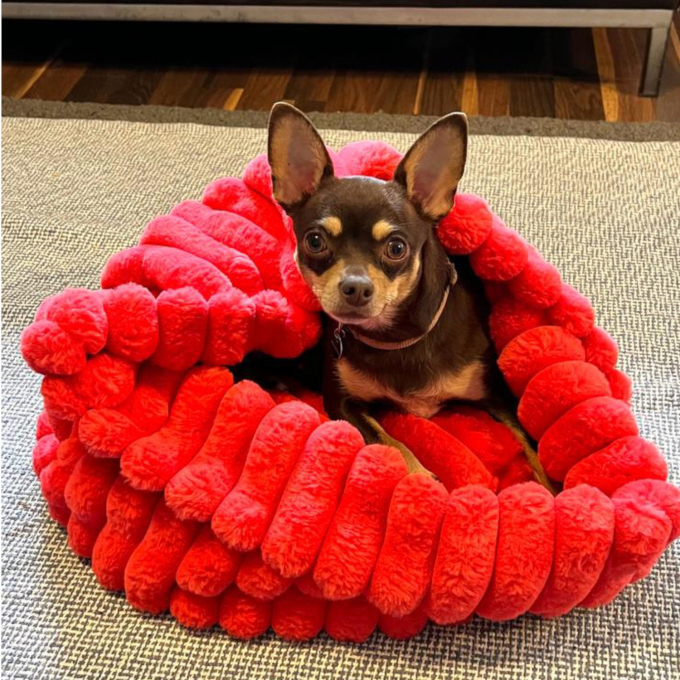 Patron panier ou corbeille pour chiens et chats pdf Sissi Erbsünde, en allemand