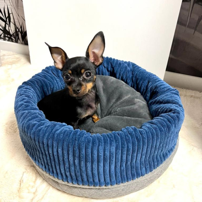 Patron panier ou corbeille pour chiens et chats pdf Sissi Erbsünde, en allemand