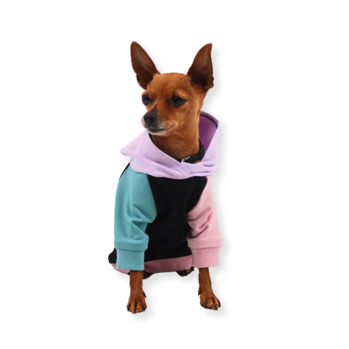 E-Book Fadenkäfer Dog Hoodie, german
