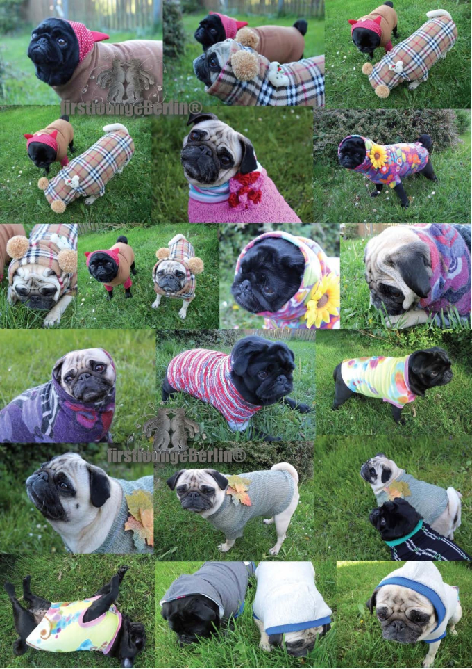 E-Book Firstlounge Berlin Doggy Sweater, duits