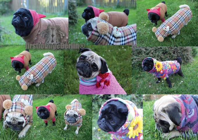 E-Book Firstlounge Berlin Doggy Sweater, duits