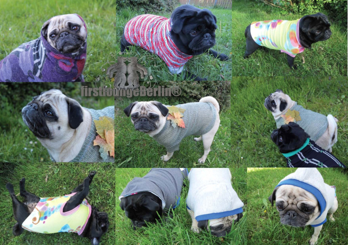 E-Book Firstlounge Berlin Doggy Sweater, duits