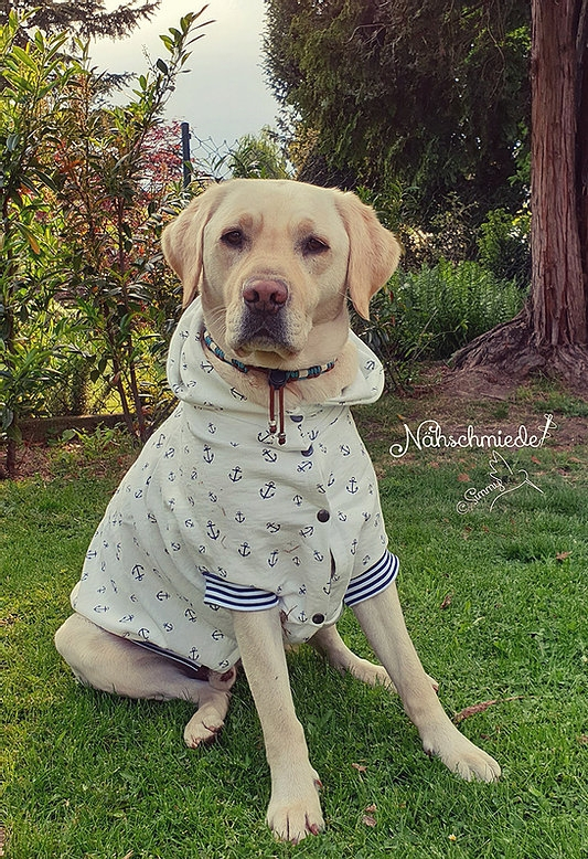 E-Book Joudii Hundehoodie Charly, duits
